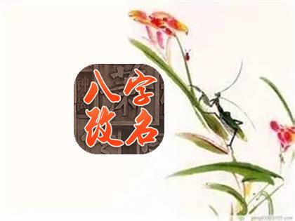 2024年腊月十一出生男孩取名 男宝宝生辰八字起名