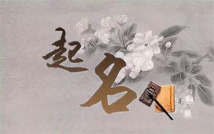2024年腊月出生男宝宝取名 旺财大气男孩名字